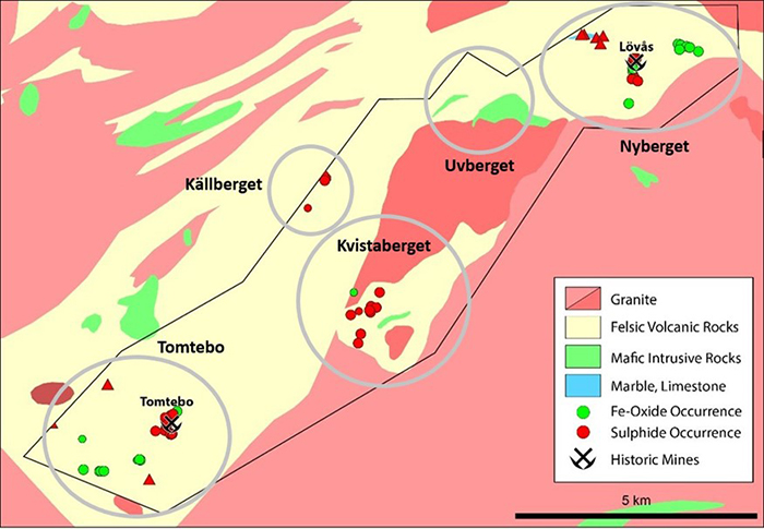 Geological Work Areas on the Tomtebo Property