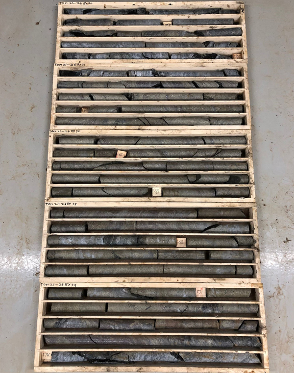 TOM21-028 Sulphide Mineralization from 151.6 to 175.0 m